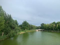 -伊犁河风景区