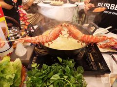 -鲜入围煮花胶鸡海鲜火锅