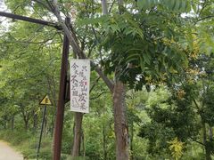 -南京市江宁方山