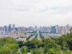 -板樟山森林公园