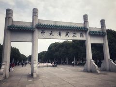 -武汉大学-樱园