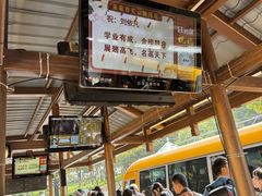 -普陀山风景名胜区-法雨禅寺
