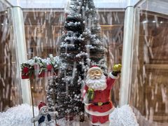 -洛阳白云山景区