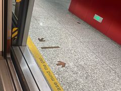 -复旦大学(地铁站)