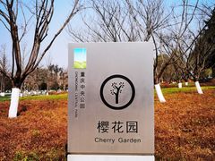 -重庆中央公园(渝北区)