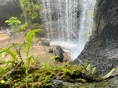 -新加坡飞禽公园