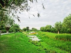 -汉长安城未央宫国家考古遗址公园