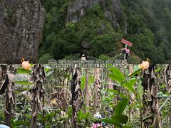 -七仙岭温泉国家森林公园