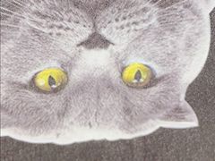 -小龙坎老火锅(工体店)