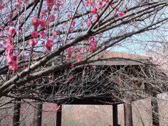 -南湖湿地公园