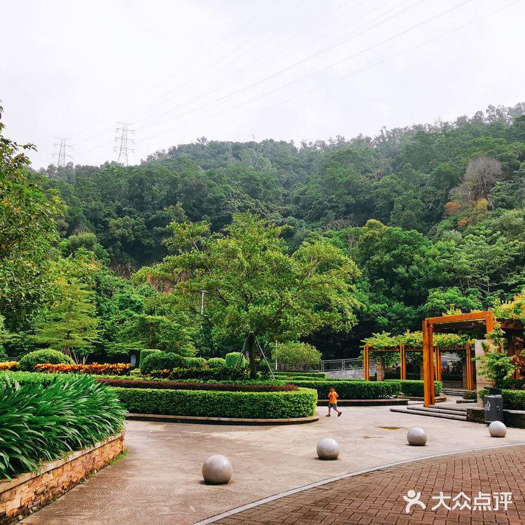 攻略 | 深圳宝安平峦山公园