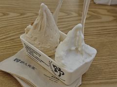 -野人先生Gelato(上海长宁龙之梦店)
