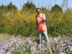 -苏家坨柳林村二月兰花海