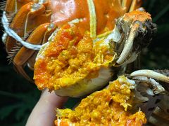 -黄记大闸蟹专卖店·活蟹·醉蟹