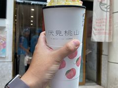 伏见桃山-伏小桃(明瓦廊店)