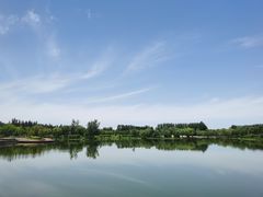 -东郊湿地公园