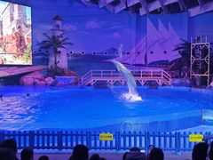 -海合安武汉极地海洋公园