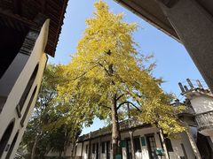 -蒋氏故居