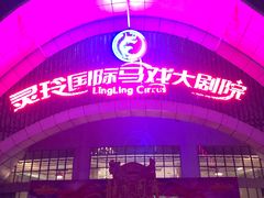 -灵玲国际马戏城