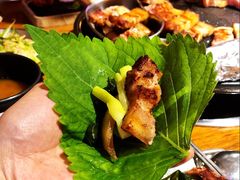 -济州爱肉堂(总店)