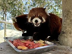 -水上乐园·欢乐世界