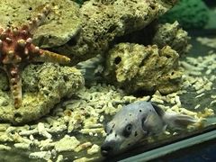 -泉州海丝野生动物世界