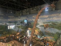 -自贡恐龙博物馆