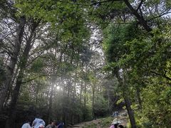 -青龙山国家森林公园