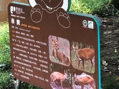 -野象谷景区