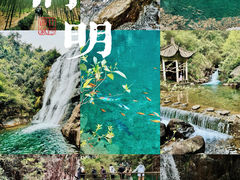 -大奇山国家森林公园