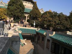 -武汉大学-樱园