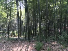 -采石矶景区