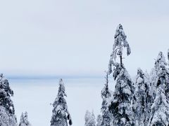 -瓦屋山景区