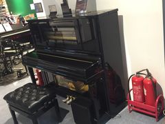 -柏斯音乐艺术中心·钢琴·吉他(世纪金源店)