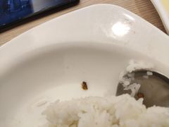 -佰搭果·广式茶餐厅(西华路店)