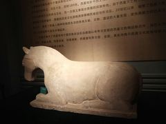 -宁夏博物馆
