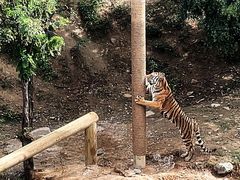 -石家庄市动物园