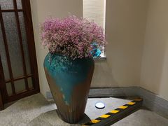 -鼎族怡华·指压·经络·疗愈SPA(紫荆店)