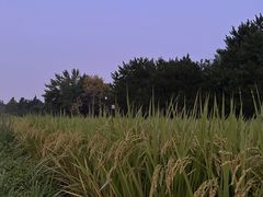 -北坞公园