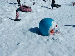 -武清南湖绿博园