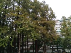 -墅园