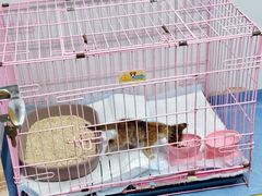 -博特宠物医院24h犬猫全科.骨科·异宠