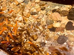 -邈墨茶馆(凤起路店)