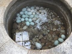 -汤泊温泉度假村