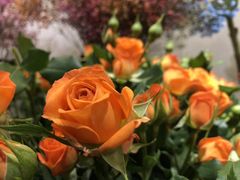 -双季花艺园艺市场(浦东店)