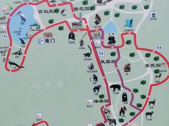 -成都动物园