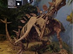 -自贡恐龙博物馆