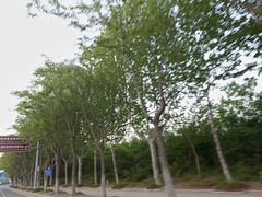 -日照海滨国家森林公园