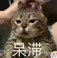 园中园美食城图片