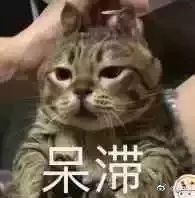 -园中园美食城